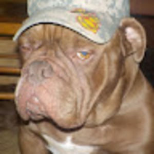 Meet your Posher, Sol